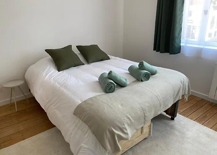 Appartement Hortensia*proche Centre-ville Et Chu*parking